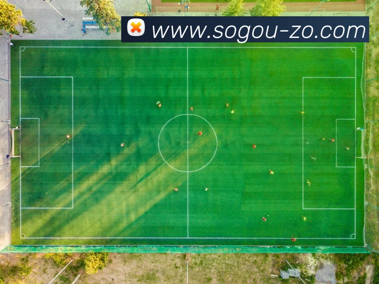 奖项证书